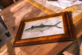 Framed Spanish Mackerel Coastal Print