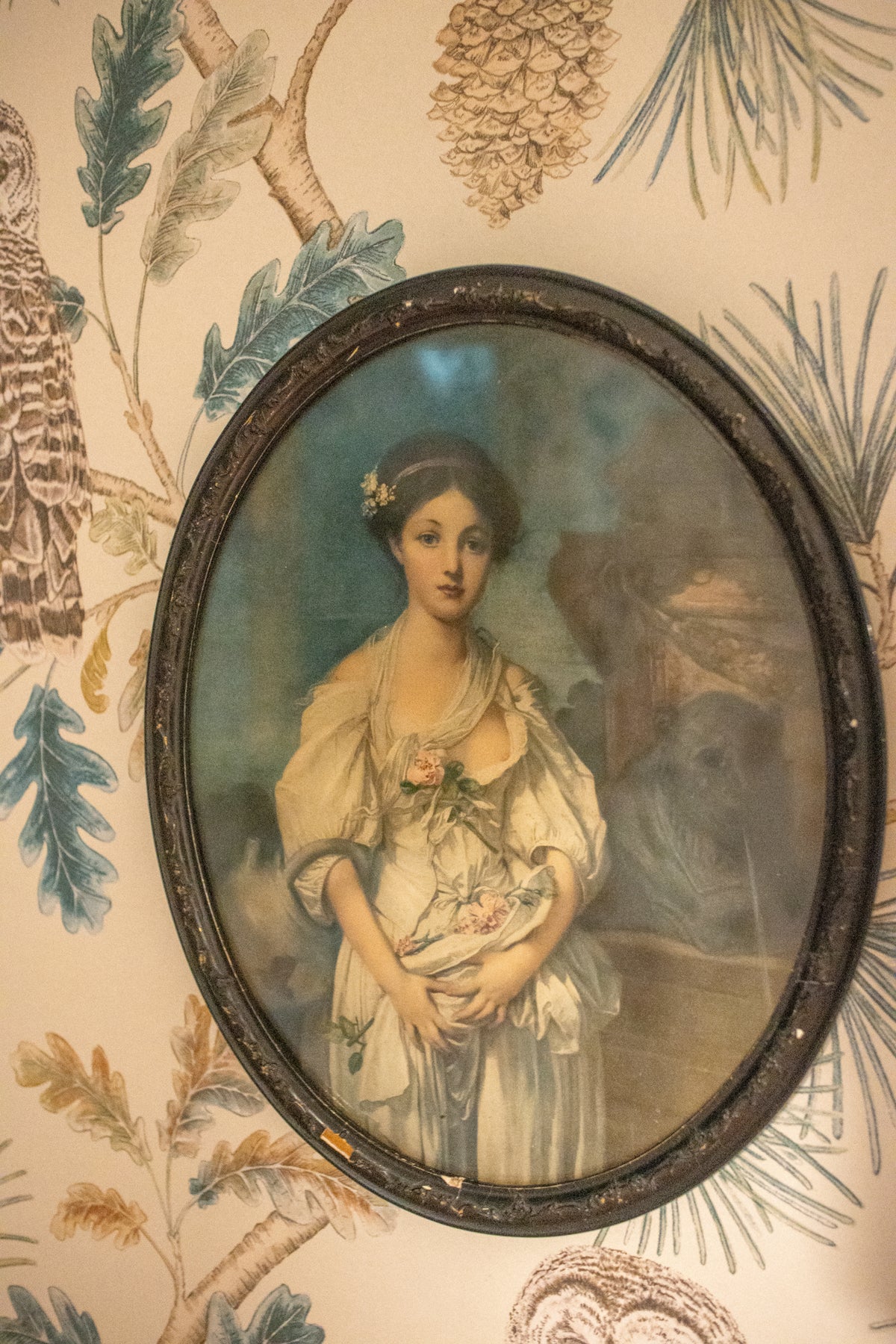 Portrait of a Lady