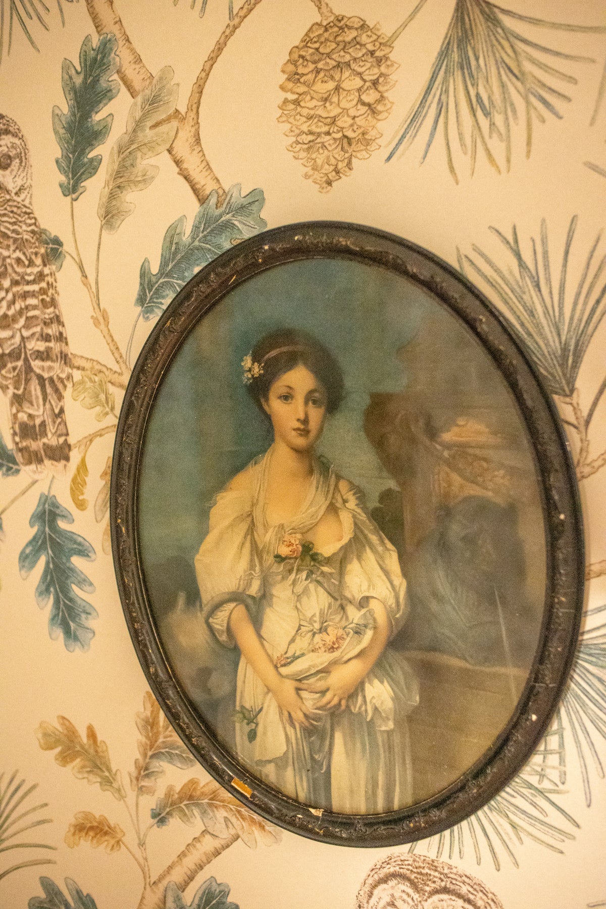 Portrait of a Lady